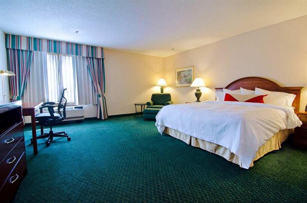 Hilton Garden Airport 3*