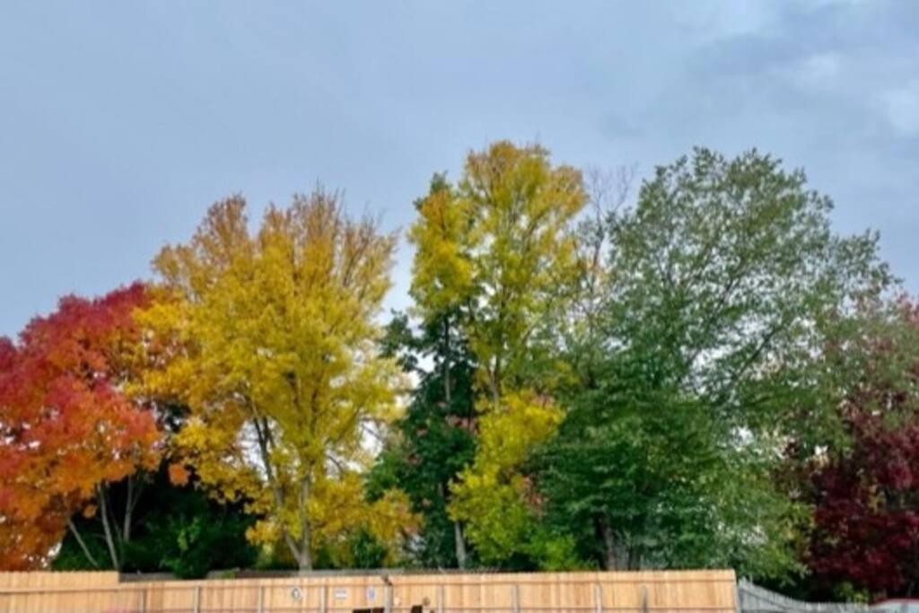 Holiday home Good Vibes - 4 Wonderful Seasons *