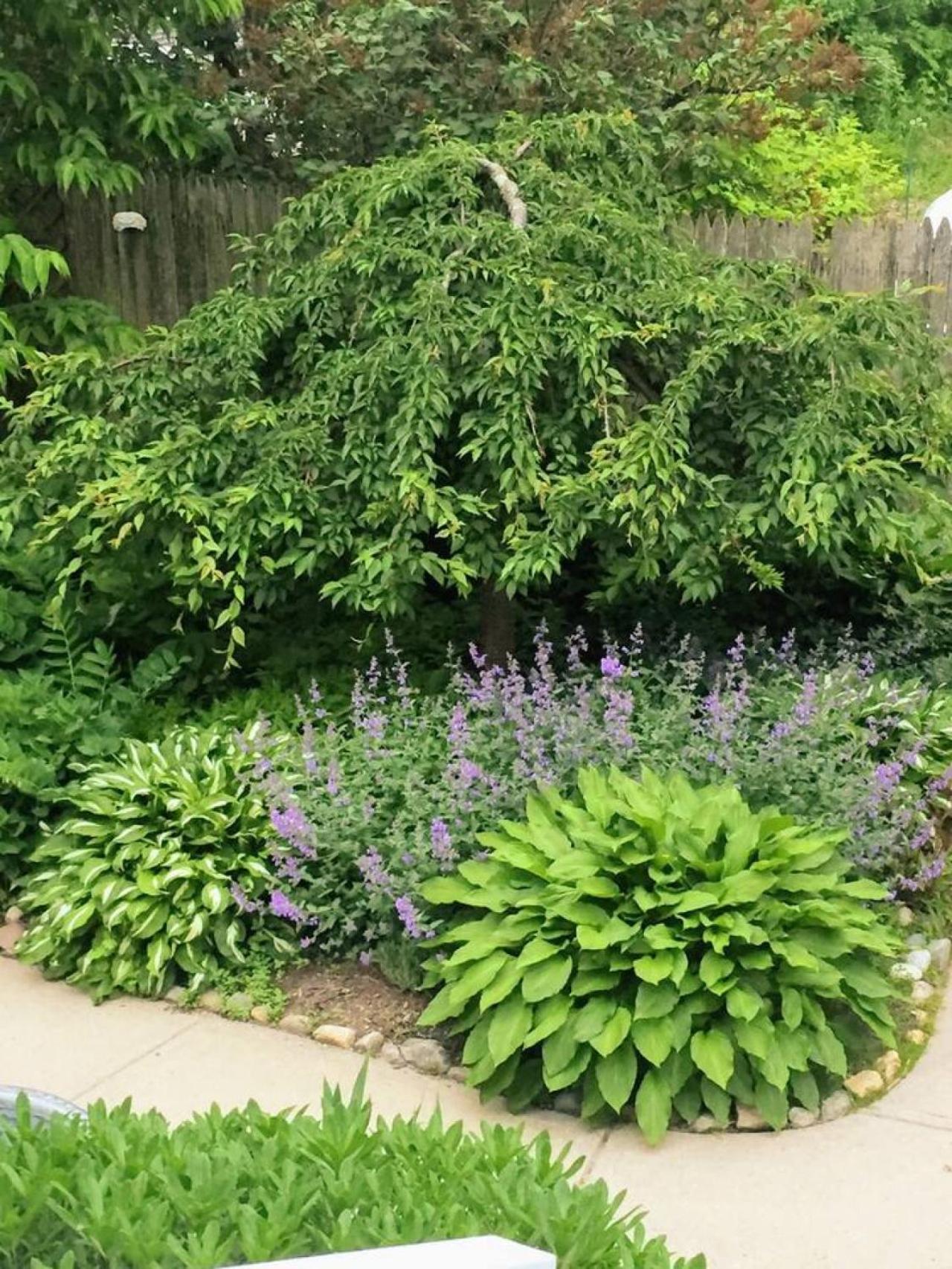 Country house A Peaceful Oasis On Munjoy Hill - 3br & Parking *