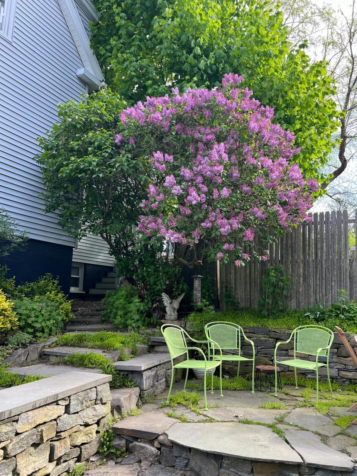 Peaceful Oasis On Munjoy Hill 1st Flr 3br Parking *