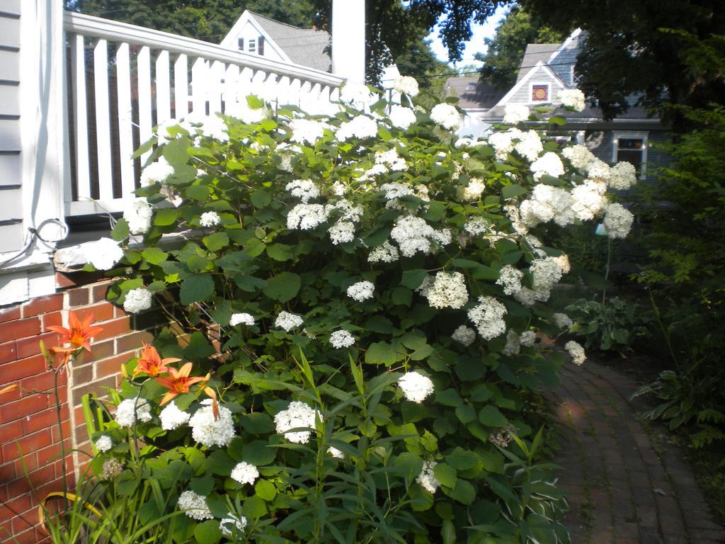 Fleetwood House Bed & Breakfast 3*