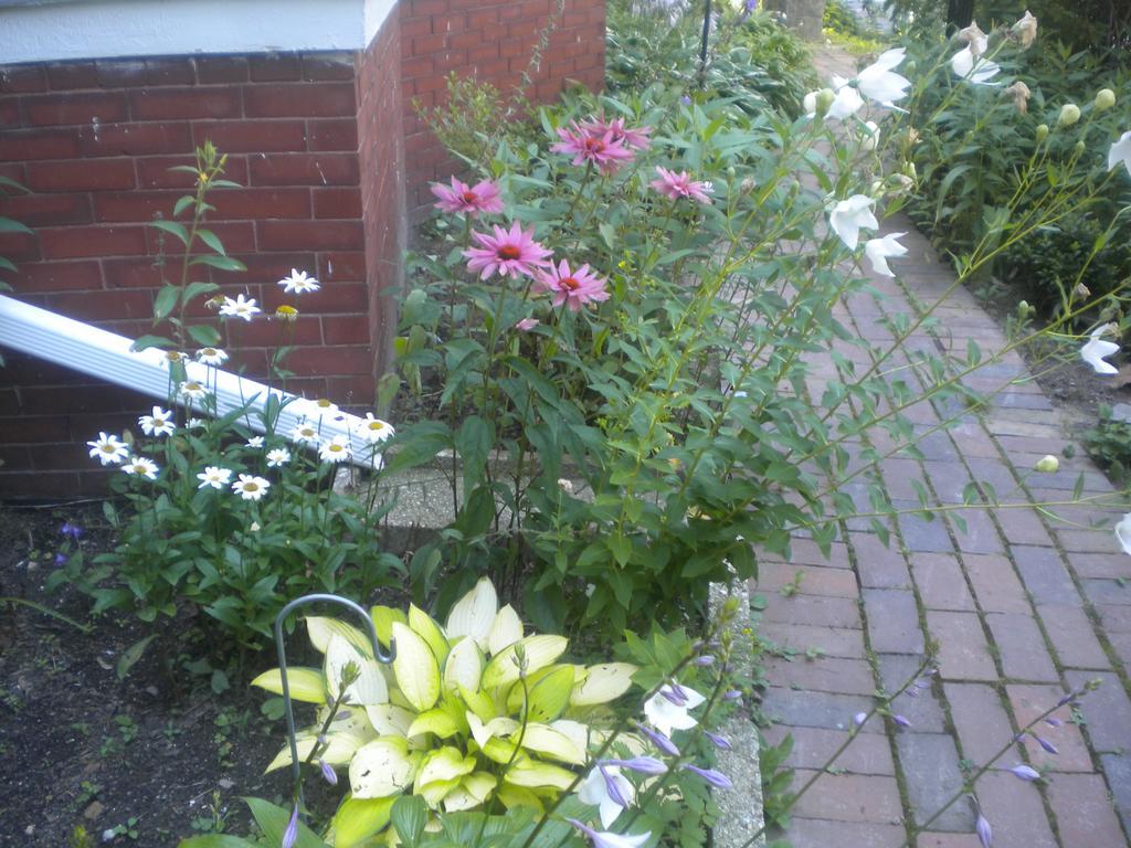 Fleetwood House Bed & Breakfast