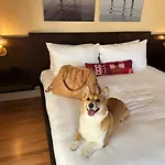 The Francis Hotel