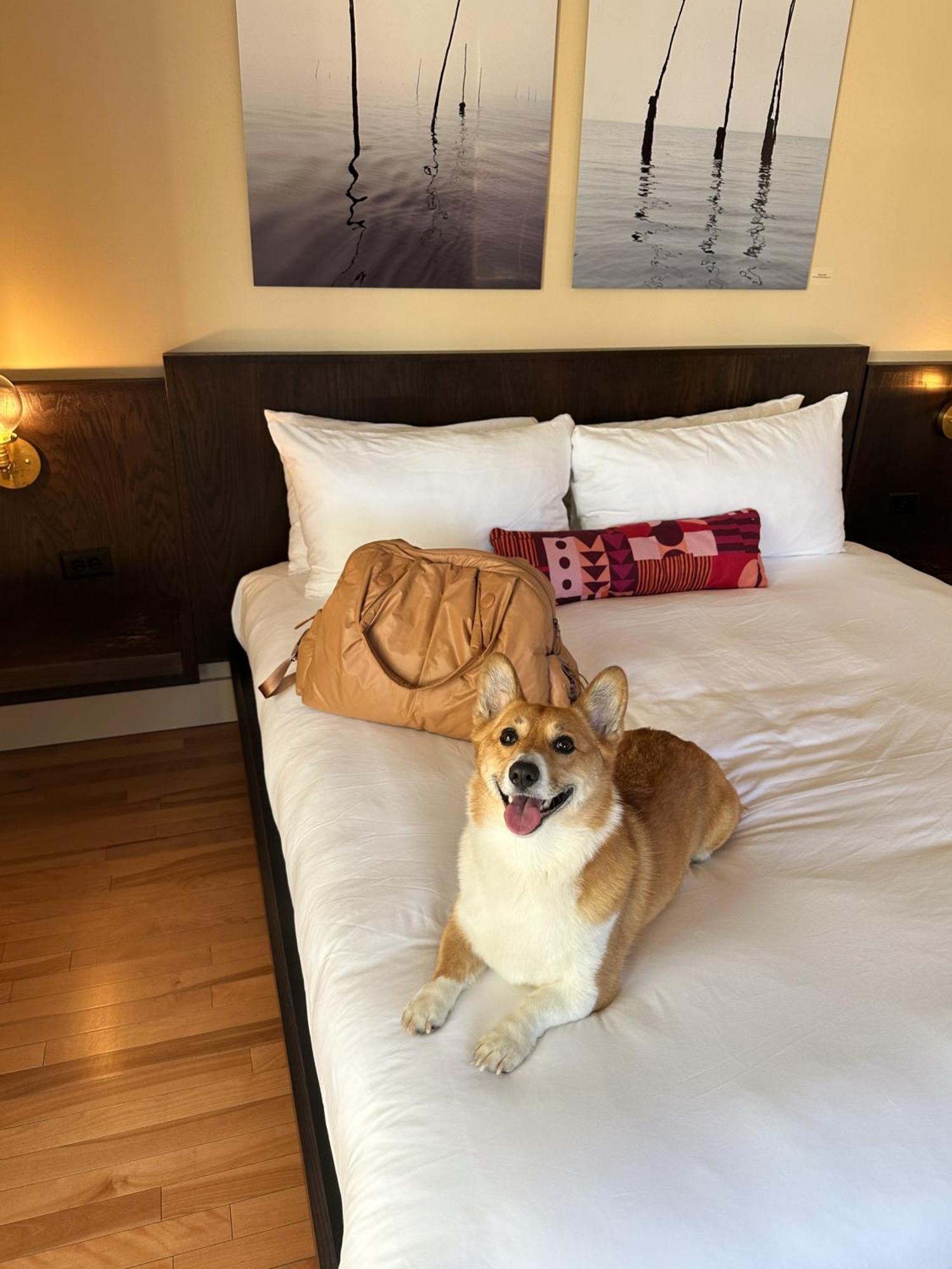 Hotel The Francis 5*